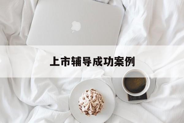 上市辅导成功案例(上市辅导成功后肯定会上市吗)景德镇市