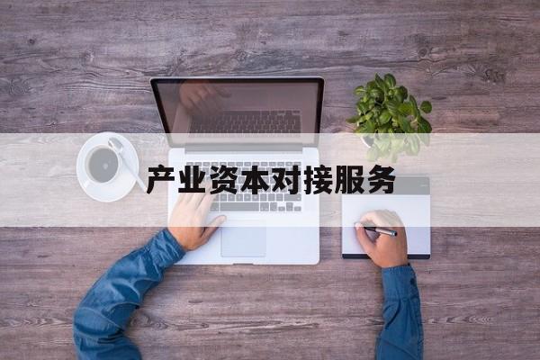 产业资本对接服务(产业资本对接服务包括哪些)景德镇市